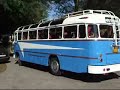 Oldtimer Ikarus buses in Tata