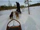 Lapponia - Finlandia Lapponia - Finlandia
