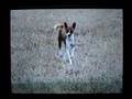 Basenji video