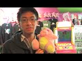 Wong Fu Weekends Episode 14 - Wong Fu Wave