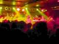 Broilers-im-FZW-Ring