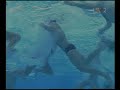 Under water waterpolo :-)