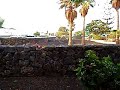 Patio view, Hyde Park Lane Bungalows, Lanzarote