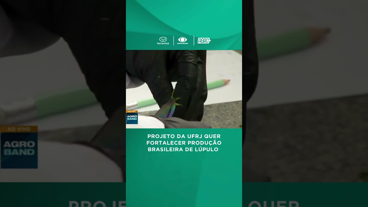 Brasil quer reduzir dependência do lúpulo importado