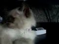 My Videos