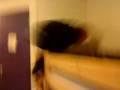 videos de Arne er flink