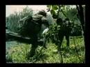 Dossiers Ovni 06 - Mutilations Animales 3/5