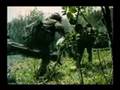 Dossiers Ovni 06 - Mutilations Animales 3/5