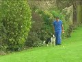 Watch the Dog Exercise Video