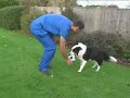 Watch the Dog Exercise Video