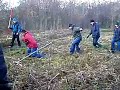Retards fall in bog