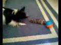 Kirby with toy