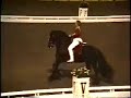 Magical Perfoming Black Friesian