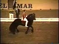 Magical Perfoming Black Friesian