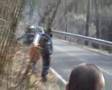 rally gallo cedrone