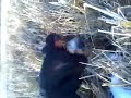 kevin so cold he s shaking got frost bite on right foot kevin so cold he s shaking got frost bite on right foot