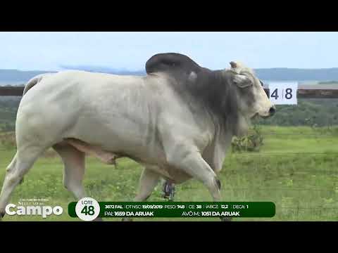 1 De Olho na Fazenda SELEO DO CAMPO