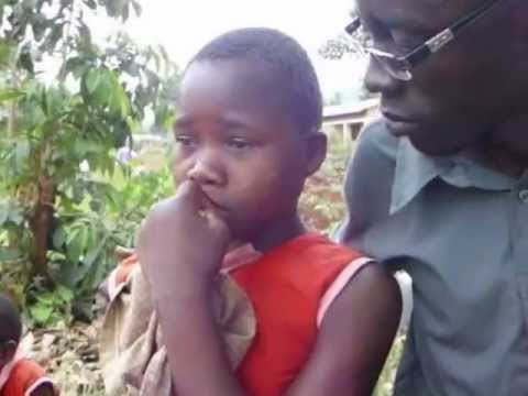 how to harvest hyssop