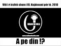 6.Pe din