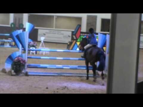 horses grand national