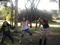 Proteina de Brasil - Dança do Siri