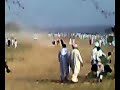 Bull Race in Jand Mehlu