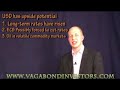 Vagabond-Investors-C