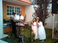 coristas jarochas