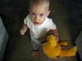 videos de Fox & Pooh