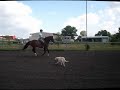 Click here to watch this video Gabriella_May2012_UnderSaddle.wmv