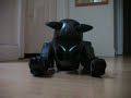 Aibo ERS-210 post DHS repair problems, con\