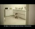 Preventing childhood Injuries in Spain, ISMA winner Childhood Injuries