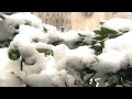 Mercatino di Natale Trento