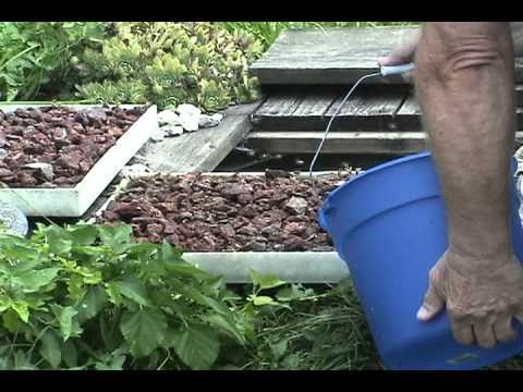 how to provide water for bees
