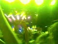 concert de christophe ma� � ste-maxime le 6 ao�t 2008, vid�o de vous les femmes + papote + belle demoiselle
attention: grosse ambiance ^^