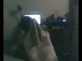 videos de Calsetin con RombosMan