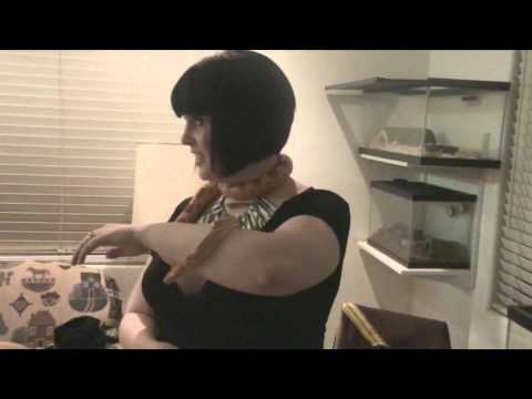 zeilla8 - Hello lovelies! Sorry it's been so long since you got a video from me. I haven't been able to have a steady net connection to upload anything in a really lon...