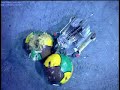 Razer vs Milly Ann Bug (Robot Wars Battle)