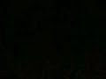 extracto del concierto de aranjuez de rodrigo con la 
