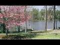 ForRent.com-The Wilton Company Apartments For Rent in ...