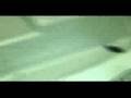 TECHNICS DZ1200  BREAKDOWN/PLATTER