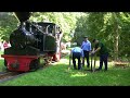 Forest railway in Bad Muskau (D) Forest railway in Bad Muskau (D)