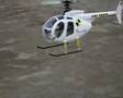 hughes 500 - trex 450 xl- fly test