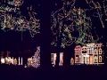 A Nela Decemberween Lightshow