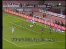 napoli-fiorentina 2-0 i due goal del pocho lavezzi auriemma