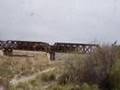 Tren de Locomotoras en Palmira