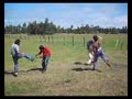 una pelea entre amigos en el campo