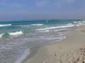 formentera - levante -