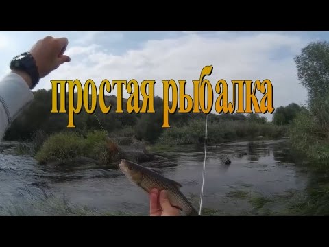 рыбалка в украине на буге рыбалка в украине на буге