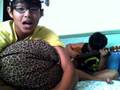 Jobless Bruneian - Belaian Jiwa